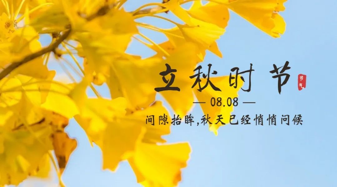 【濟寧大運河駕校】保留夏的熱情，奔向收獲的秋天！(圖3)